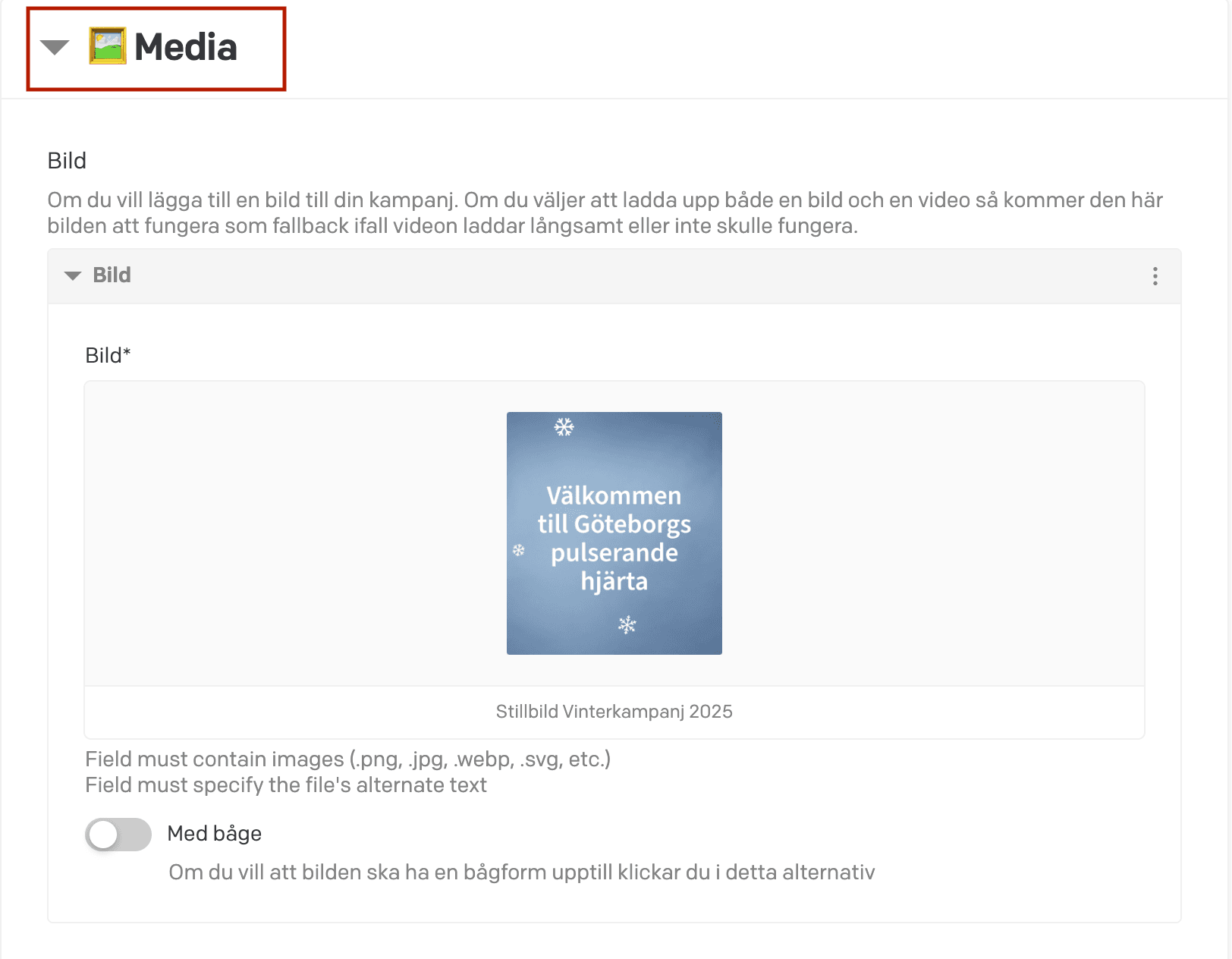 Campaign Media Button